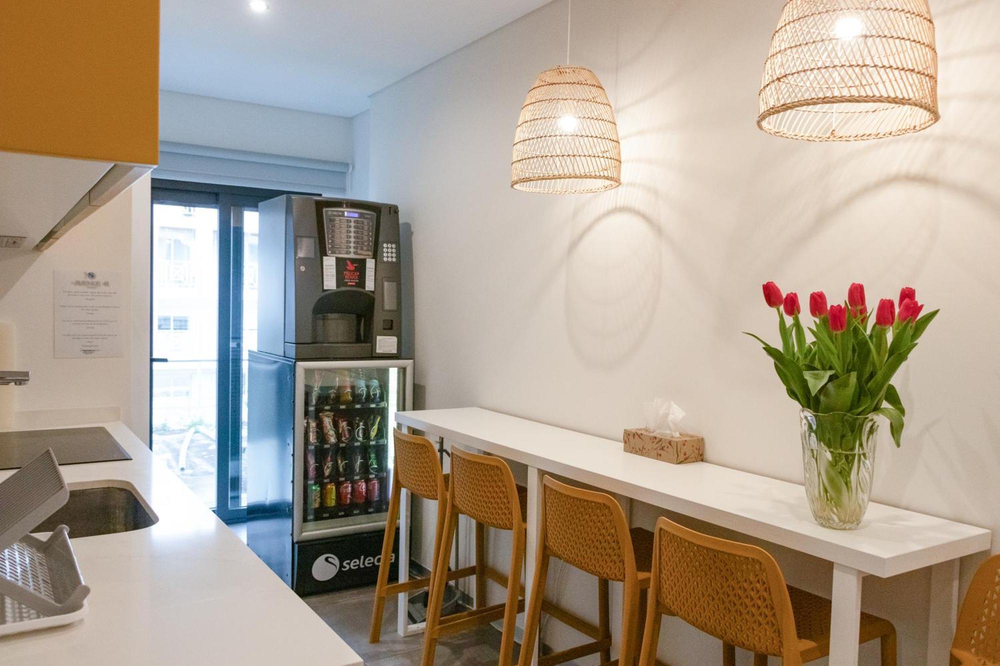 Avenue 41 Guest House 法鲁区 外观 照片